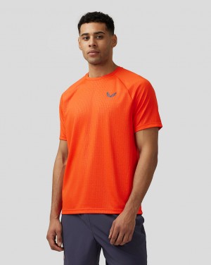 Castore Adapt Short Sleeve Printed T Shirt Oranje | ER2648703